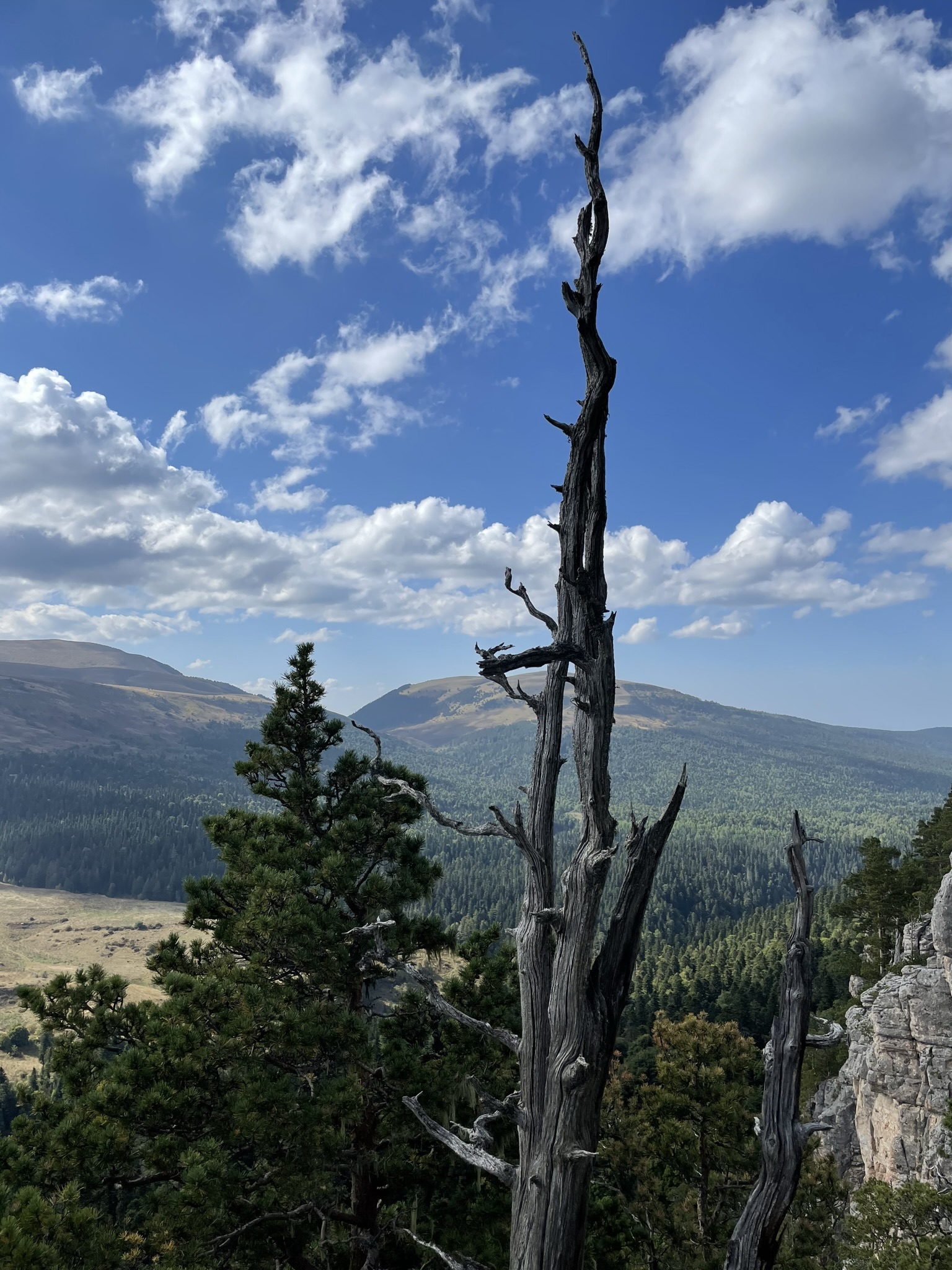 Портрет человека