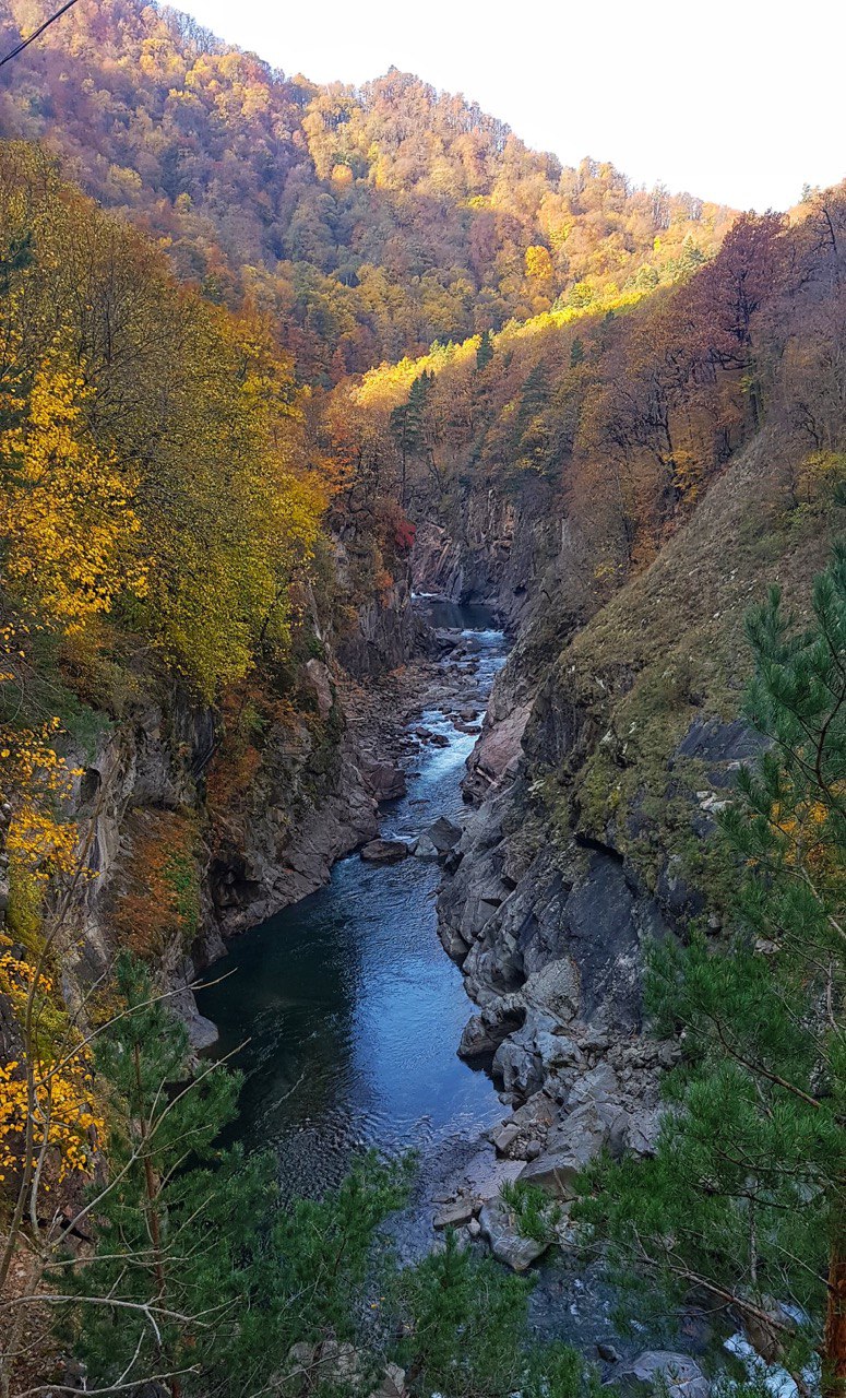 Портрет человека