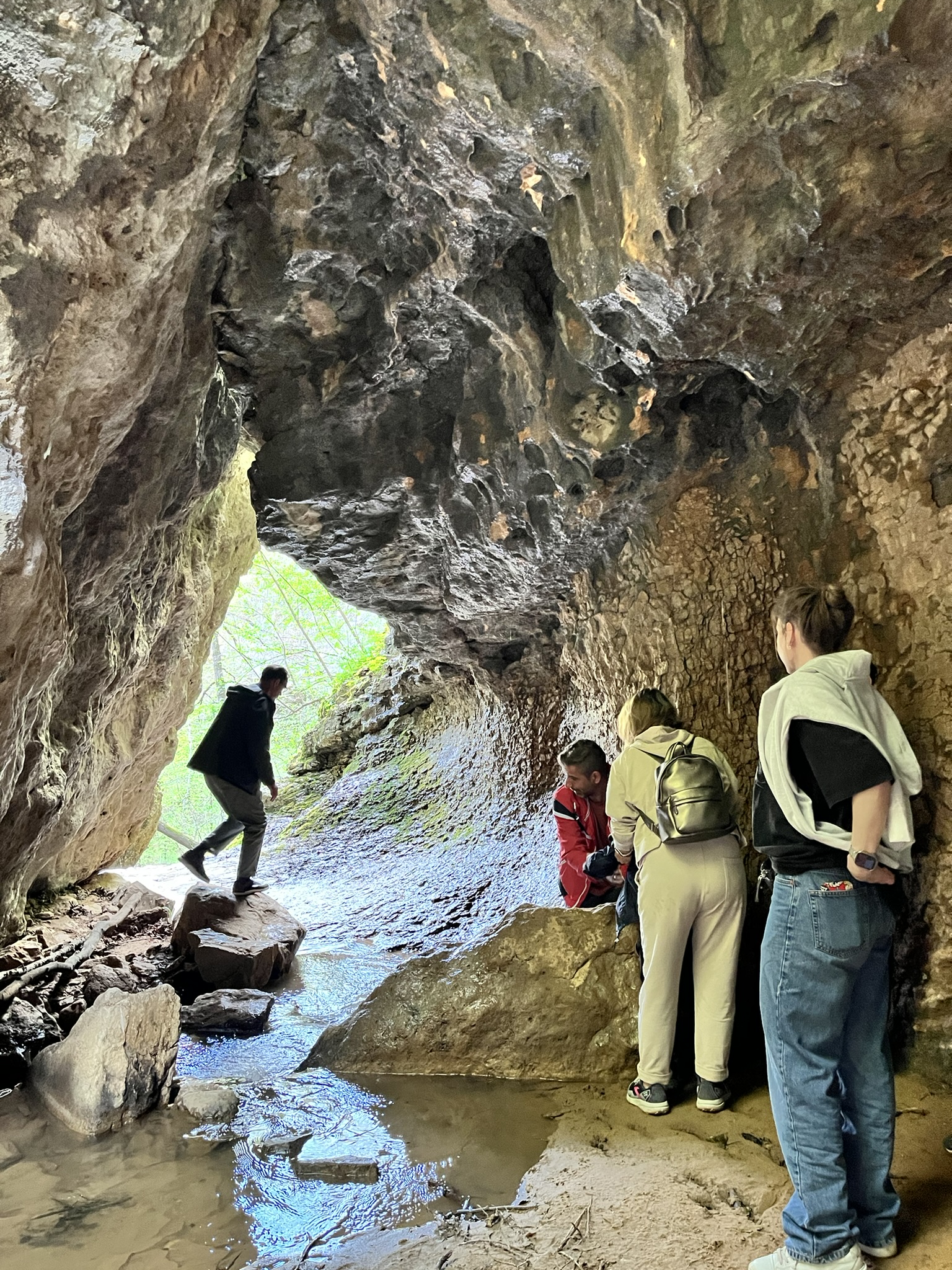 Портрет человека